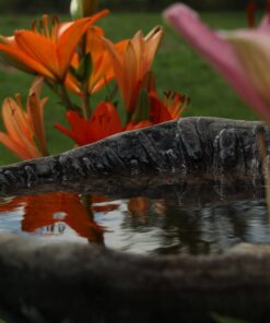 K&F Concept 58mm Variable ND Filter ND2-ND32 Camera Lens Filter (1-5 Stops) No X Cross HD Neutral Density Filter with 28 Multi-Layer Coatings Waterproof (Nano-X Series) 35 71MlFj6FsNL 2