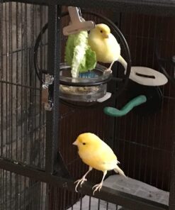 Mosaic Birds Hummble Basic Bird Feeder, M045-200, 3.4 Ounce Capacity, Clear, 1 Piece 32 71MoU7ln7IL