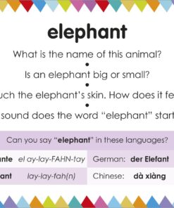 My First Touch and Feel Picture Cards: Animals (My First Board Books) 36 71MoVb21kIL