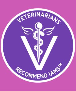 IAMS PROACTIVE HEALTH Healthy Kitten Dry Cat Food with Chicken Cat Kibble, 16 lb. Bag Dry Food 16.00 Pound (Pack of 1) 30 71Mp76hHMkL