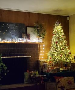 Lighting EVER Fairy Lights Plug in, 33ft 100 LED String Lights for Bedroom, Warm White Copper Wire Lights, Waterproof Indoor Outdoor Decorative Fairy Lights for Patio, Garden, Balcony, Vases, Craft 33 ft 51 71Mpf5WPjCL