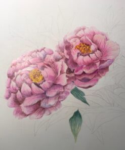 AFMAT Electric Eraser for Artists, 140 Eraser Refills, Rechargeable Electric Eraser for Drawing, Artist Eraser Rechargeable for Drafting, Painting, Sketching, Architectural Plans, Detailer Tool-White White 1 Count (Pack of 1) 57 71MrFUP8EjL