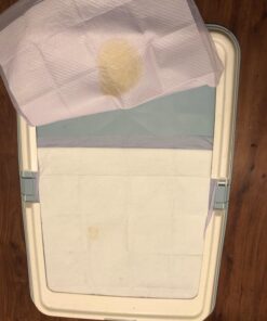 Petphabet 100 Pack Dog Pee Pads 23 by 24 Inches,Lavender Scented Dog Training Pads with Attractant 23 X 24 in 25 71MtzdBeQqL