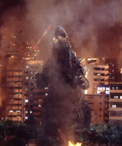 Godzilla Mega Set - Set DVD, Multiple Formats, Subtitled, NTSC October 19, 2015 9 71Mv4oo7BlL