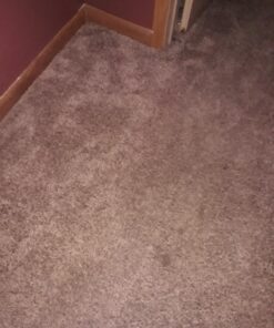 Nature's Miracle Carpet Shampoo, Deep-Cleaning Stain and Odor Remover 64 Ounce Original 64 Fl Oz (Pack of 1) 51 71MwPSpaYgL