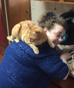 ARM & HAMMER Clump & Seal Platinum Cat Litter, Multi-Cat, 40 lb Clumping Cat Litter 40 lbs 43 71MxhE5DymL