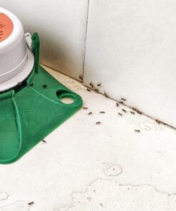 Terro 1806 Outdoor Liquid Ant Baits, 1.0 fl. oz. - 6 count 35 71MxwDx8fL