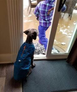 Kurgo Loft Dog Jacket, Reversible Dog Coat, Wear with Harness or Sweater, Water Resistant, Reflective, Winter Coat For Medium Dogs (Coastal Blue, M) Coastal Blue/Orange 45 71MzByihz4L