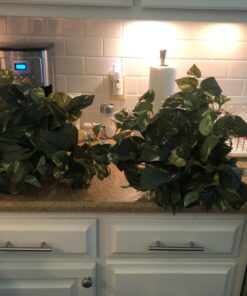 Nearly Natural 15in. Pothos Ledge Plant (Set on Foam) Silk Plant,Green 45 71Mzvtsri9L