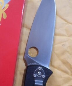 Spyderco Resilience Folding Pocket Knife with 4.20" 8Cr13MoV Stainless Blade and G-10 Handle - PlainEdge - C142GP 48 71N ruZ0frL