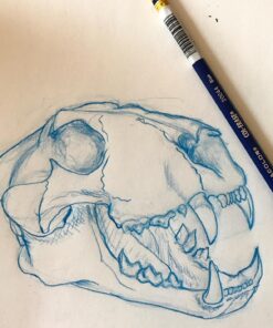 Prismacolor Col-Erase Erasable Colored Pencil, 12-Count, Blue (20044) 30 71N2WmJPjlL