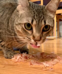 Cat-Man-Doo Extra Large Dried Bonito Flakes Treats for Dogs & Cats - All Natural High Protein Flakes - 4oz. / 112g Bag 4 Ounce (Pack of 1) 40 71N5V8ugJHL