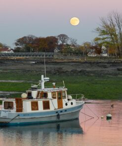 OM SYSTEM OLYMPUS M.Zuiko Digital 40-150mm F4.0-5.6 R Black For Micro Four Thirds System Camera, 3.75x Zoom Lens, Portable Design Standard Packaging 63 71N7Z6SH2L