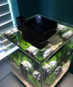 Fluval Chi II Series Aquarium Set, 5-Gallon - Aquarium Tank with Ambient LED Lighting, Flowing Water, and Elegant Design, White 5 gal 66 71N7ZlGnt4L