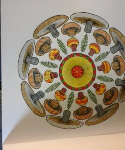 Home Harvest 42 71N7y1lWiL