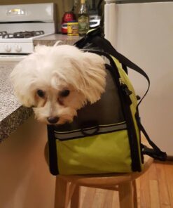 Paws & Pals Airline Approved Pet Carrier - Soft-Sided Carriers for Small Medium Cats and Dogs Air-Plane Travel On-Board Under Seat Carrying Bag with Fleece Bolster Bed for Kitten Cat Puppy Dog Taxi Green 55 71N8DZ3uzXL