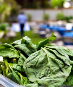 Nikon D3200 24.2 MP CMOS Digital SLR with 18-55mm f/3.5-5.6 Auto Focus-S DX VR NIKKOR Zoom Lens (Black) (OLD MODEL) Black w/ 18-55mm Base 64 71NB0JD7MpL