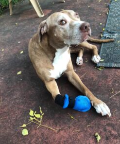 Hipaw Summer Breathable Dog Boots Nonslip Sole Paw Protector for Hardwood Floor XL: Insole Wide 2.83" Blue 24 71NBY7TsWL