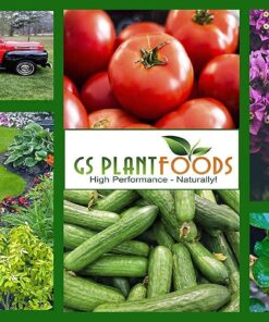 Organic Kelp Fertilizer by GS Plant Foods - Omri Listed(1 Gallon) - Liquid Kelp Concentrate for Gardens, Lawns & Soil Yields 800+ gallons 1 Gallon 30 71NCWUrVFsS