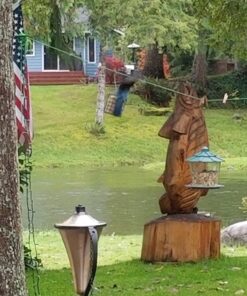 Suet Songbird Very Berry Cake, 16 Pack 23 71NG577obcL