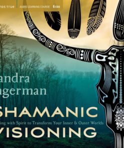 Shamanic Visioning: Connecting with Spirit to Transform Your Inner and Outer Worlds Audio CD – Audiobook, CD, Unabridged Set of 6 CD'S