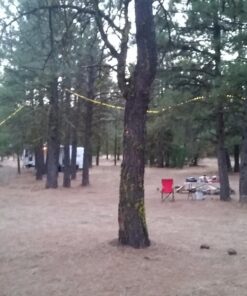 ER CHEN 165ft Led String Lights, 500 Led Fairy Starry Lights on 50M Silvery Copper Wire String Lights for Christmas (Warm White) Warm White 34 71NI2pGsTtL