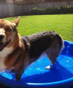 Wondercide - EcoTreat Ready-to-Use Outdoor Pest Control Spray with Natural Essential Oils - Mosquito, Ant, Insect Repellent, Treatment, and Killer - Plant-Based - Safe for Pets , Kids - 32 oz 28 71NOea6MNyL