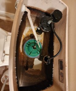 Milliard Citric Acid 5 Pound - 100% Pure Food Grade Non-GMO Project Verified (5 Pound) 36 71NOfEbJ3 L