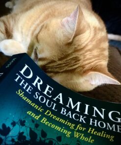 Dreaming the Soul Back Home: Shamanic Dreaming for Healing and Becoming Whole 11 71NP3ztVtEL