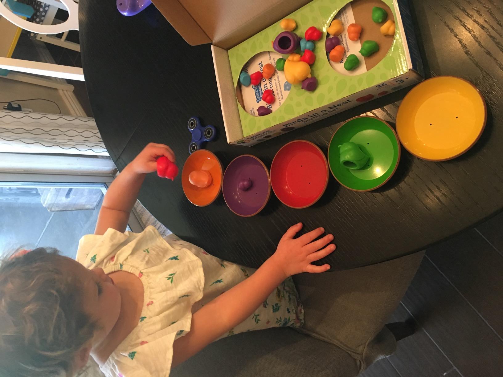 Learning Resources Birds in a Nest Sorting Set, Fine Motor Set, Color Sorting Set for Toddlers, 36 Pieces, Ages 3+ 7 Learning Resources Birds in a Nest Sorting Set, Fine Motor Set, Color Sorting Set for Toddlers, 36 Pieces, Ages 3+ - Image 7