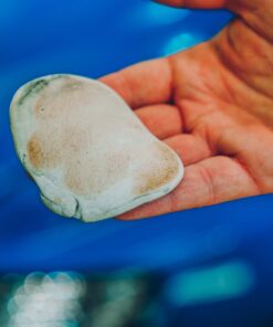 Meguiar's Smooth Surface Clay Kit - Safe and Easy Car Claying for Smooth as Glass Finish - G1016 34 71NQpUvEvL