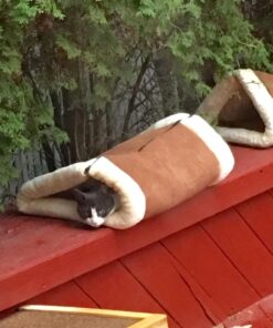 Kitty Shack - 2 in 1 Tube Cat Mat and Bed, Pet Accessories 37 71NSDTTfACL