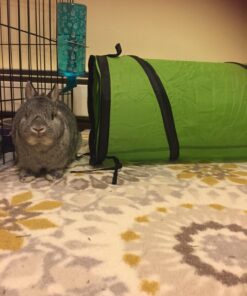 Petmate Jackson Galaxy Cat Crawl Solid Tunnel, Green/Orange 38 71NSd p3NL