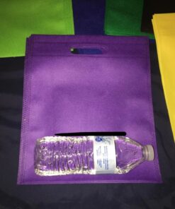 Aneco 50 Pieces 9.5 by 11.5 Inches Non-woven Bags Poly Goodie Treat Bag Rainbow Colors Tote Bag Party Gift Handles Bag Party Favors, 10 Colors 31 71NT9IVflgL