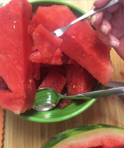 Kizo Stainless Steel Watermelon Slicer/Corer and Serving Tongs with Long Grip Handle and Set of 4 Fruit Forks 16 71NUVrYrRfL