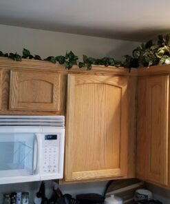 Nearly Natural 15in. Pothos Ledge Plant (Set on Foam) Silk Plant,Green 37 71NVUKC0b0L