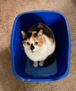 Van Ness Pets Large Open High Sided Cat Litter Box, Blue, CP2HS Pack of 1 30 71NXBQeB0LL