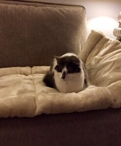 Kitty Shack - 2 in 1 Tube Cat Mat and Bed, Pet Accessories 48 71NYeh1MkNL 1