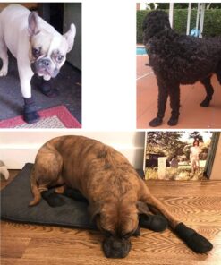 Hipaw Summer Breathable Dog Boots Nonslip Sole Paw Protector for Hardwood Floor Small ( Insole: 2.15"W ) Black 16 71NYzQKnWDL