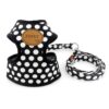 SMALLLEE_LUCKY_STORE CWYP00068-Black-L New Soft Mesh Nylon Vest Pet Cat Small Medium Dog Harness Dog Leash Set Leads, Black, L Large ( Chest:30-50cm/12"-20") 49 71NZgZ4HldL