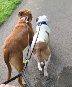 Dual Dog Leash - Double Dog Leash for Two Dogs - Tangle Free - Heavy Duty Double Ended Tandem Leash with Padded Handle for Small Medium or Large Dogs Black 30 71Nbp7QGkoL