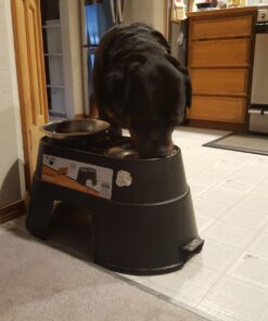 OurPets Comfort Diner Elevated Dog Food Dish (Bowls Available in 4 inches, 8 inches and 12 inches for Large , Medium and Small Dogs), Black, 12-inch 45 71NbzCQyMQL