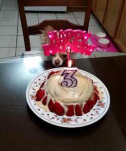 Pink Happy Birthday LED Flashing Pick - 10.25", 1 Piece - Perfect for Birthday Celebrations Pink Flashing 17 71NdsR8412L