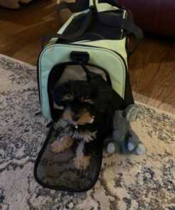 Henkelion Pet Carrier for Small Medium Cats Dogs Puppies up to 15 Lbs, Airline Approved Small Dog Carrier Soft Sided, Collapsible Travel Puppy Carrier - Green 17.0"L x 11.0"W x 11.0"H 30 71NizZSTZFL