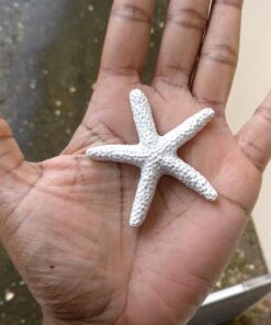 SUBANG 20 Pieces Starfish 2.3 Inch White Resin Sea Star Fake Starfish for Wedding Decor Beach Theme Party, Home Decorations,DIY Crafts, Fish Tank 2.3inch 29 71NmmWeXHJL
