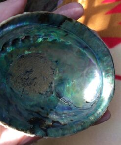 Smudge Kit - White Sage, Palo Santo, Abalone Shell, Smudging Feather for Healing, Purifying, Meditating & Incense (Essentials Plus) 30 71NnEPiqf5L