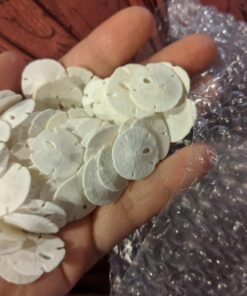 Tumbler Home Sand Dollars 50pcs - Under 1" Inch - Small Natural White Sand Dollar - Sea Shell for Crafts - Wedding Shells - Bulk Sand Dollars 41 71Ns8FS1j1L