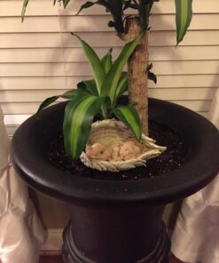 Joseph's Studio 4.25 Inch Tall Sleeping Baby in Wings Figurine 31 71NtNAPVM1L