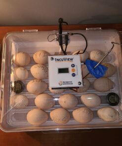 IncuView™ 3 Pro All-in-One Automatic Egg Incubator w Built-in Egg Turner, Incubator Warehouse, Countdown Hatch Timer, Auto-Off Egg Turner, Universal Egg Turner, Quail - Goose, 2022 37 71NtXY4sNdL