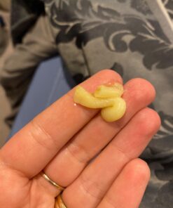 The Honest Company Organic All Purpose Balm | Gentle for Baby | Soothes + Moisturizes | Plant-Based + Hypoallergenic | 3.4 oz All Purpose Balm, 3.4 oz 33 71Nxl A9WaL